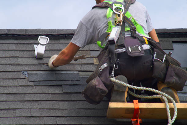 Best Roof Gutter Cleaning  in Spring Hill, FL