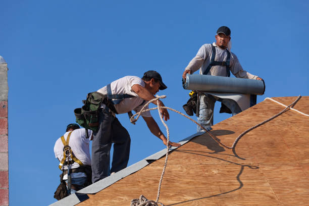 Best Roof Leak Repair  in Spring Hill, FL