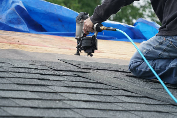 Best Gutter Installation and Roofing  in Spring Hill, FL